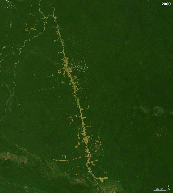 br163defores_tmo_amo_2019
