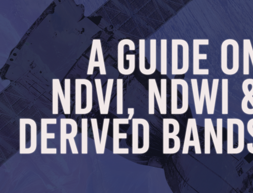 A Guide on NDVI, NDWI and Derived Bands