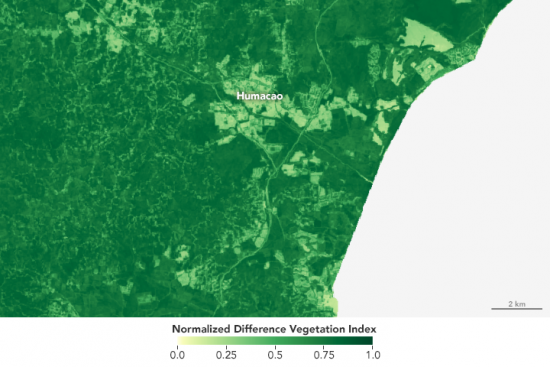 ndvi