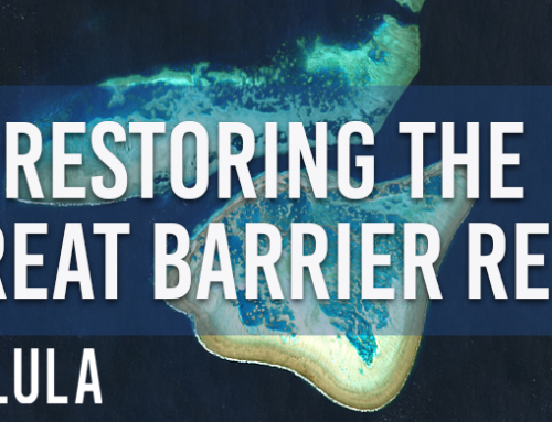 3 Ways Satellite Imagery Can Help Restore the Great Barrier Reef