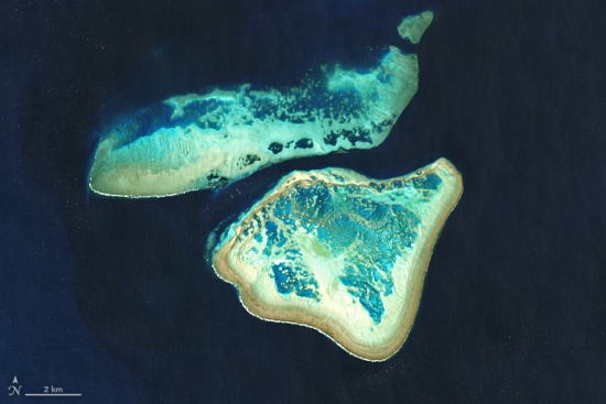 gbrzm_oli_2020222